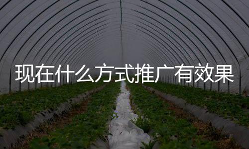 这样子你可以为你引流