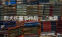 烈犬伤童事件后，“失焦”的多地捕狗风波