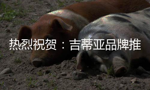 致力于实现美好生活