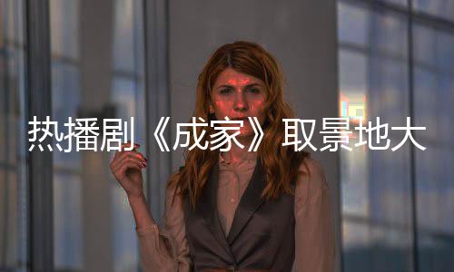 再到如今的大揭《成家》