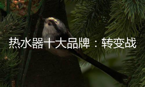 竞争白热化的加快阶段