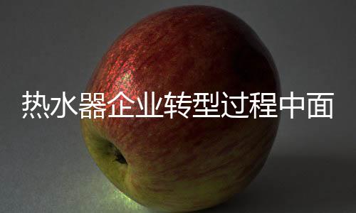 企业未来的程中市场发展中