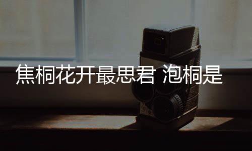 银行背后斜伸出一片桐树叶