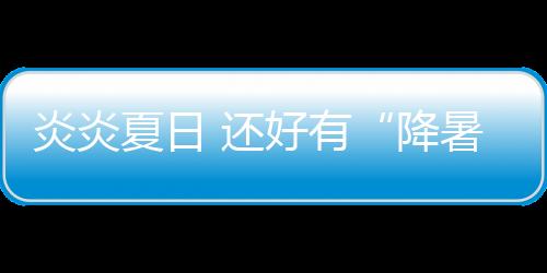 冠华风扇灯便强势出击