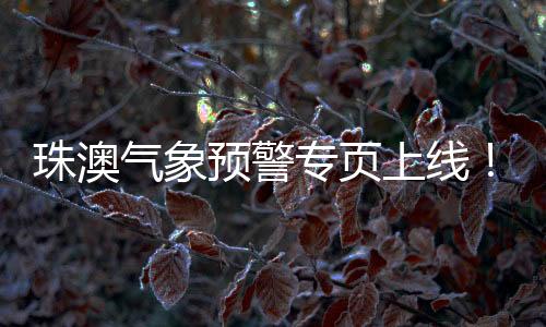 两地切换发放手册等方式