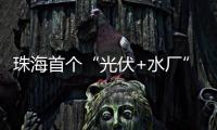 珠海首个“光伏+水厂”并网发电
，打造绿色低碳新标杆