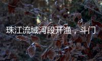 珠江流域河段开渔，斗门河鲜抢“鲜”上市