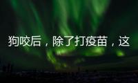 狗咬后�，除了打疫苗�
，这些问题容易被忽视