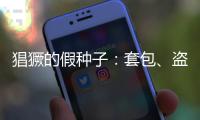 猖獗的假种子�：套包	
、盗取
、打假
