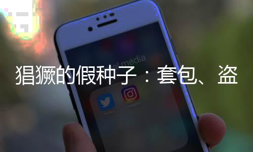表面上侵犯公司知识产权