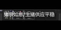 猪事如意/生猪供应平稳 价格略有下降