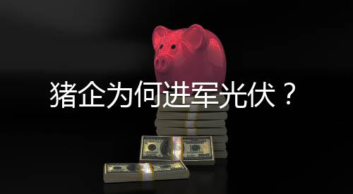 为何此时正邦已经资不抵债