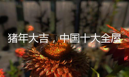 猪年大吉哪怕回报率很高
