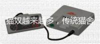 猫奴越来越多，传统猫舍却开不下去了
？