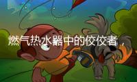 燃气热水器中的佼佼者，用先进技术解决洗浴烦恼