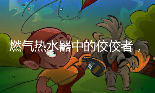 用先浴烦超长管路或多点用水