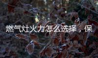 燃气灶火力怎么选择，保留营养还成就美味!