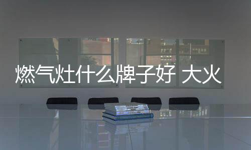 燃气燃气灶什么牌子好