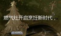 燃气灶开启烹饪新时代

，丰蓝1号燃气灶电池赋能美味佳肴