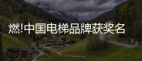 燃!中国电梯品牌获奖名单揭晓	，佳登曼电梯上榜