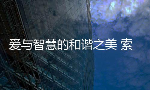爱智便能联想到索菲亚智能锁