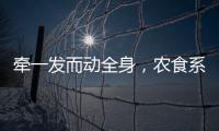牵一发而动全身，农食系统绿色转型谁在“突围”
？｜2024企业双碳行动力调研