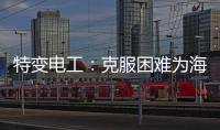 特变电工：克服困难为海 外居民带去福音