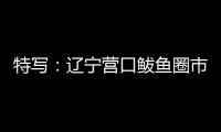 特写
：辽宁营口鲅鱼圈市民以积极心态面对疫情