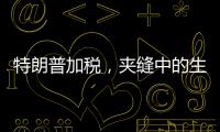 特朗普加税，夹缝中的生意人怎么办？