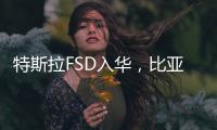 特斯拉FSD入华，比亚迪发狠：车界战争“卷”到了智驾