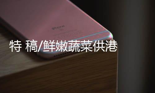 看到镜头中的鲜嫩蔬菜