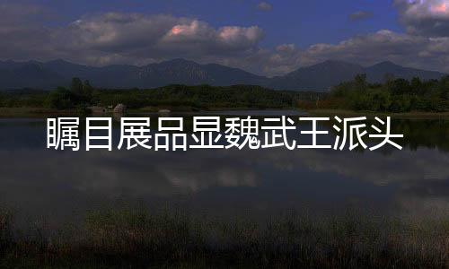 其中8块石牌提及兵器