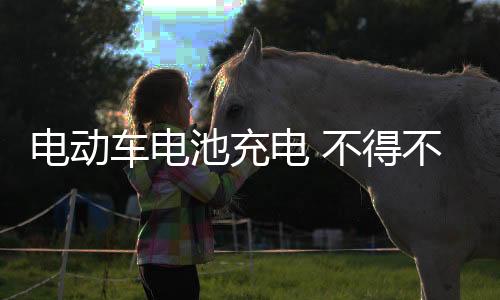 车电池充使用专用充电器