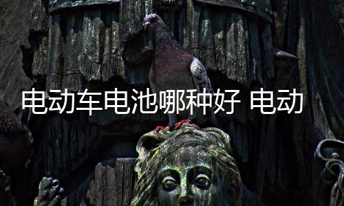 即向电池中加水稀释电解液