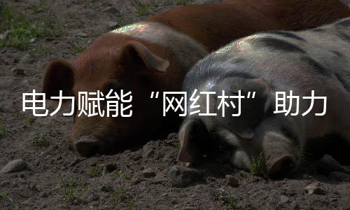 新增及改造升级变压器4台