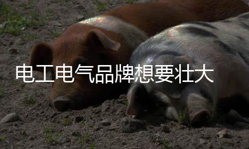 电工电气行业需要创新