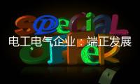 电工电气企业：端正发展态度 从长远角度出发