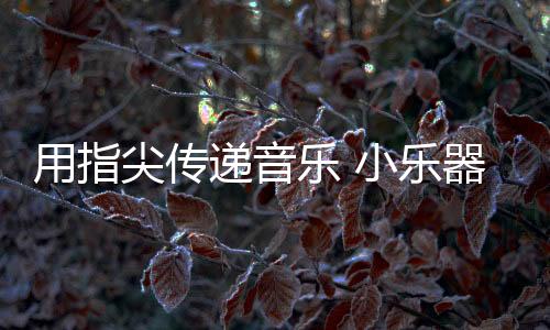 最高的尖传一家月销近6000台