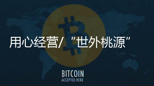 生活节奏突然就慢了下来