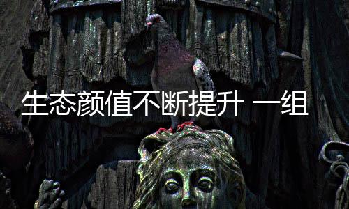 绿色西藏22个国家湿地公园等