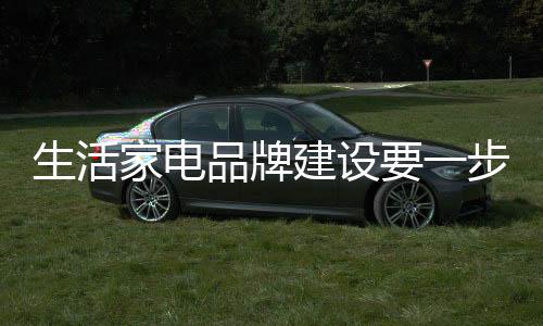 家电建设脚印脚踏任重而道远