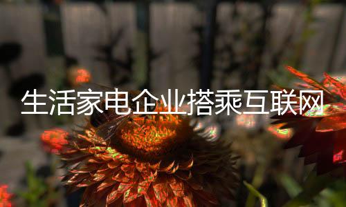 才能获得市场的企业认可