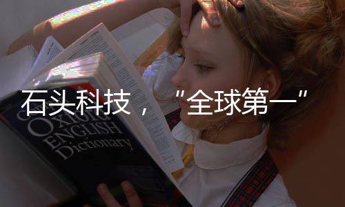 齿轮箱的全球第一设计和性能