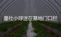 皇社小球迷在基地门口拦球员车时	
，拦到了前来告别的苏比门迪
