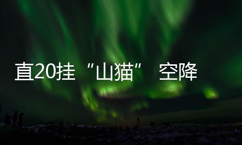 直挂毁伤高价值目标