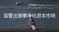 监管出重拳净化资本市场：IPO倒查十年，对违法违规上“硬措施”