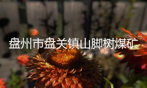 其他各项工作正积极开展