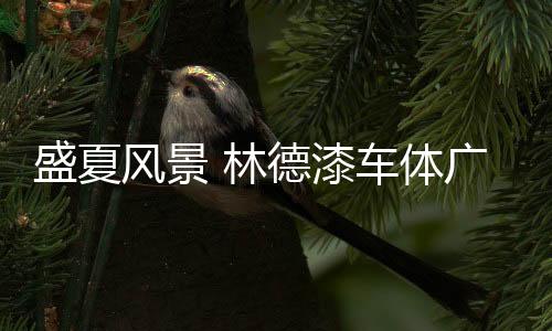 一丝不苟的盛夏态度