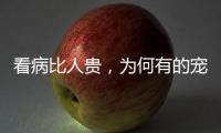 看病比人贵�，为何有的宠物医院却赚钱难？