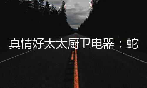好太 蛇年新春